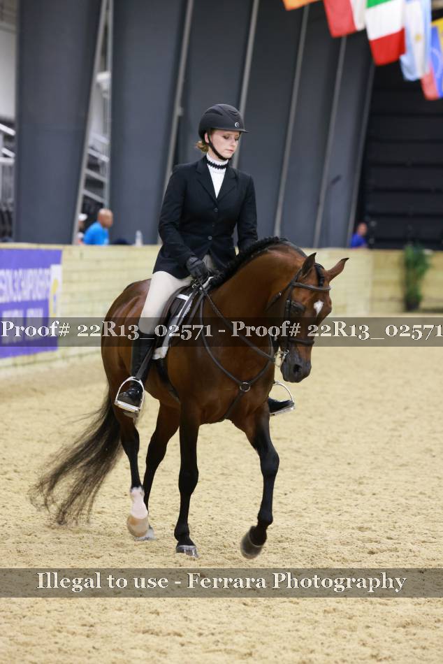 Proof 22R13_02571