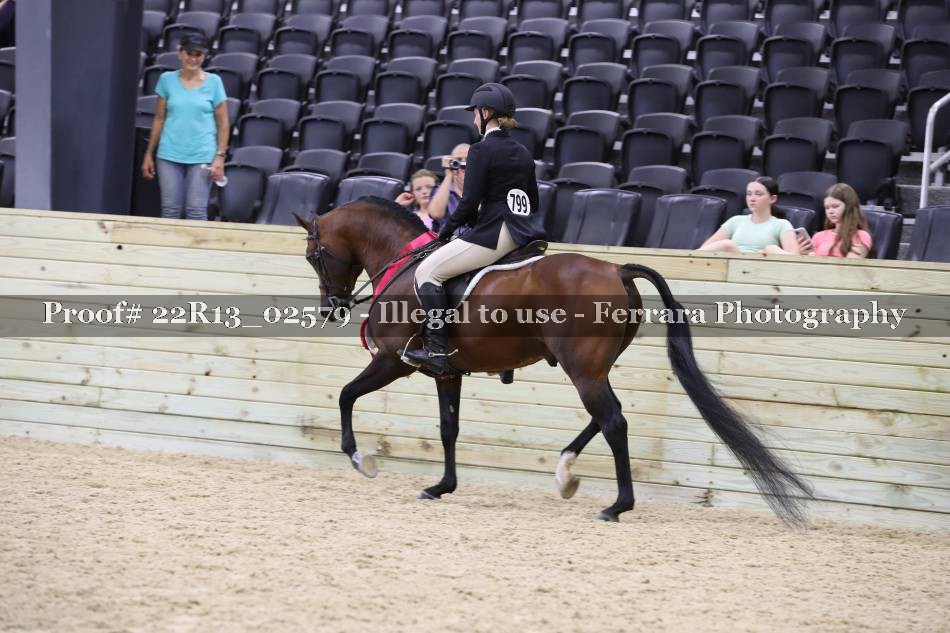Proof 22R13_02579