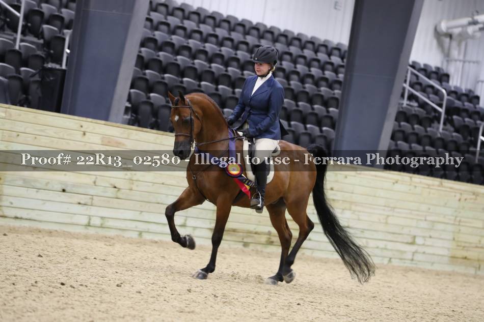 Proof 22R13_02580