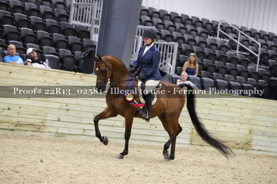 Proof 22R13_02581