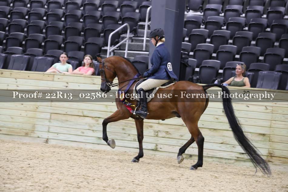 Proof 22R13_02586