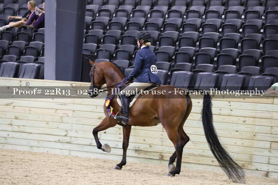 Proof 22R13_02587