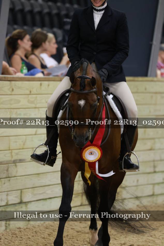 Proof 22R13_02590