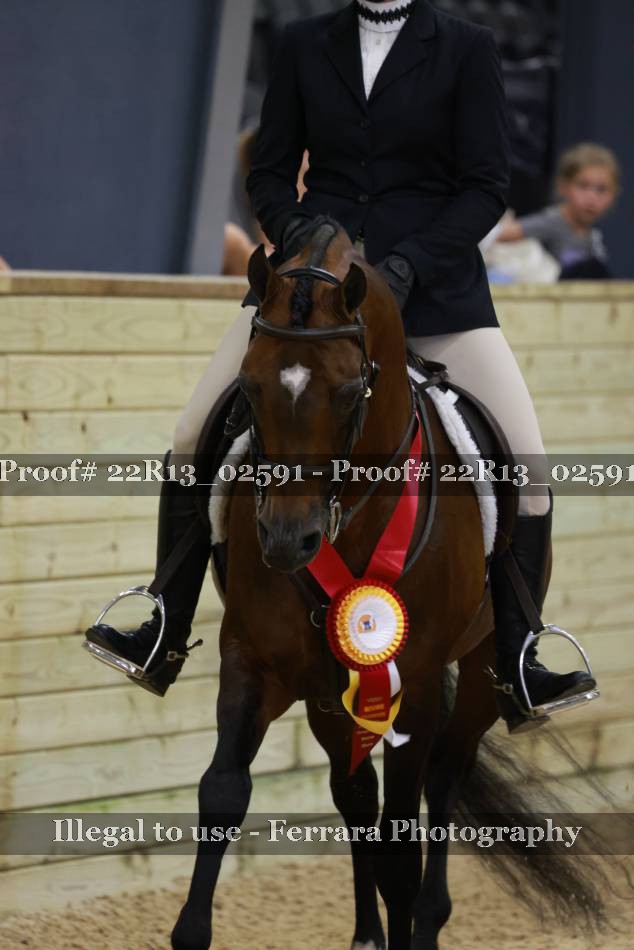 Proof 22R13_02591