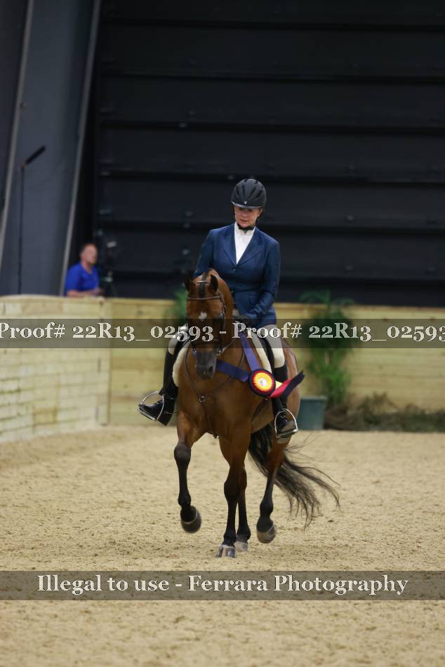 Proof 22R13_02593