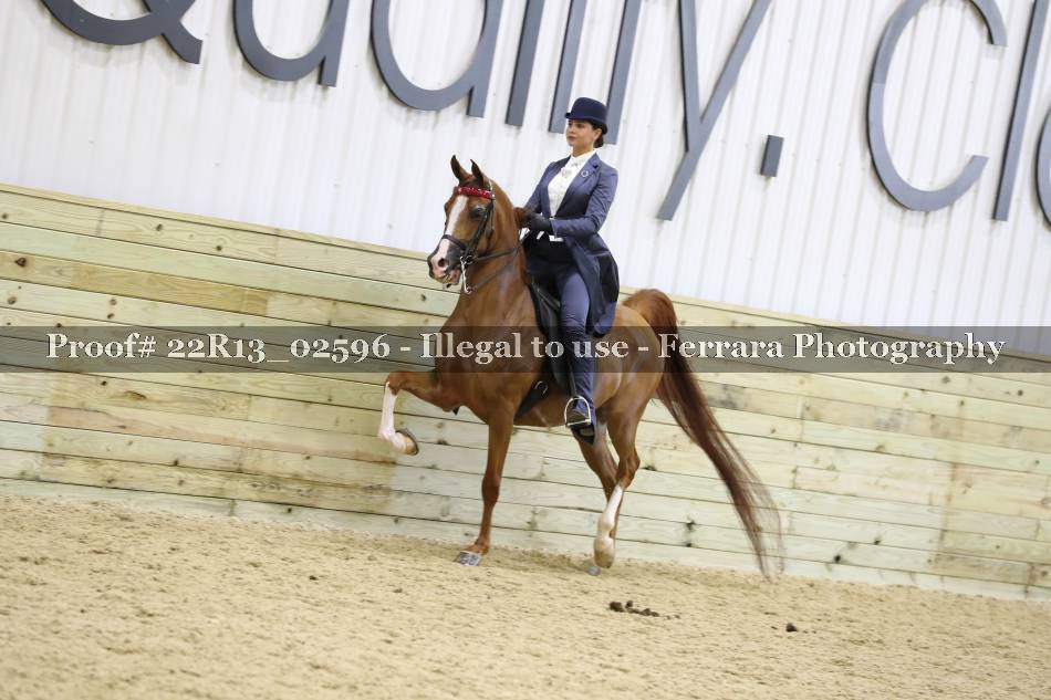Proof 22R13_02596