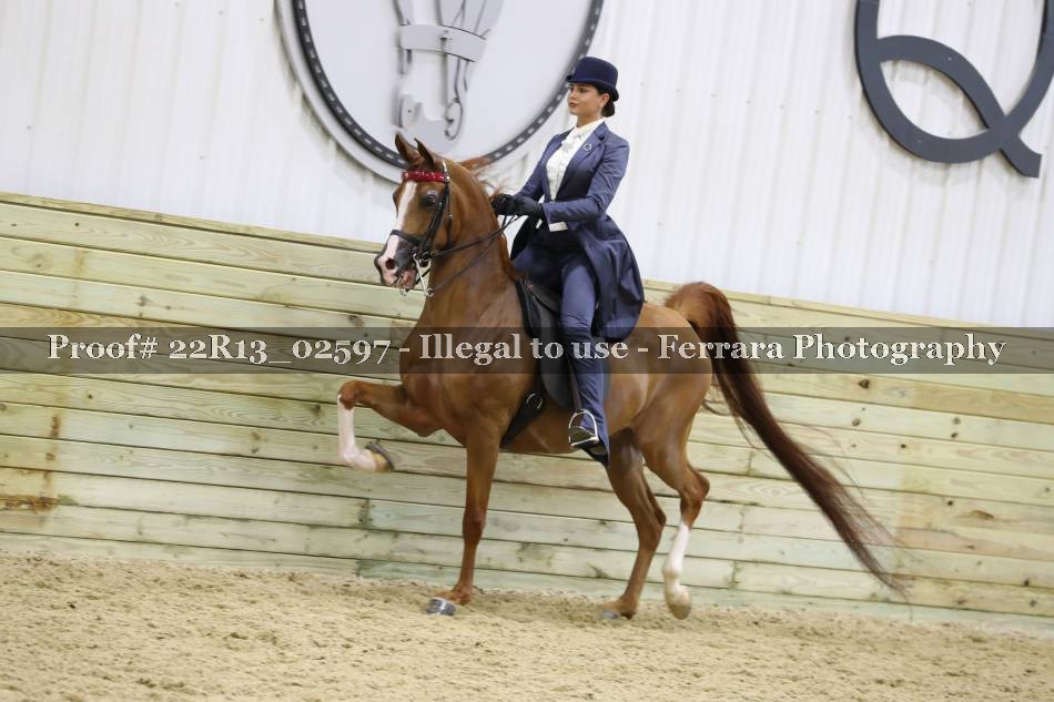 Proof 22R13_02597