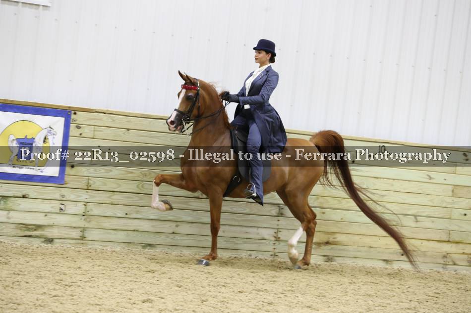 Proof 22R13_02598