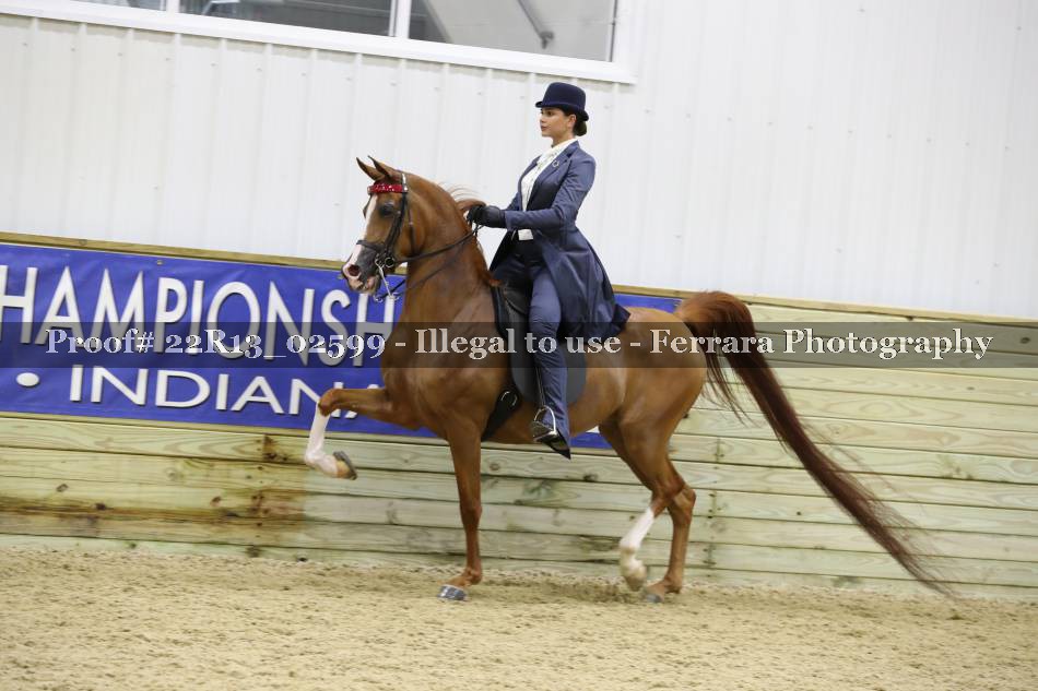 Proof 22R13_02599