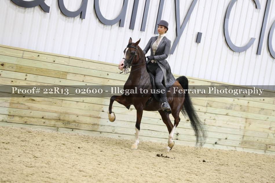 Proof 22R13_02600