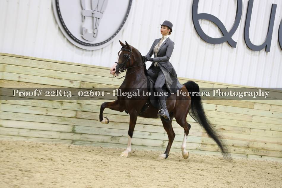 Proof 22R13_02601