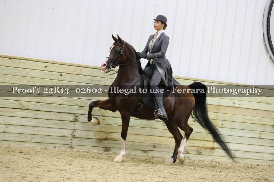 Proof 22R13_02602