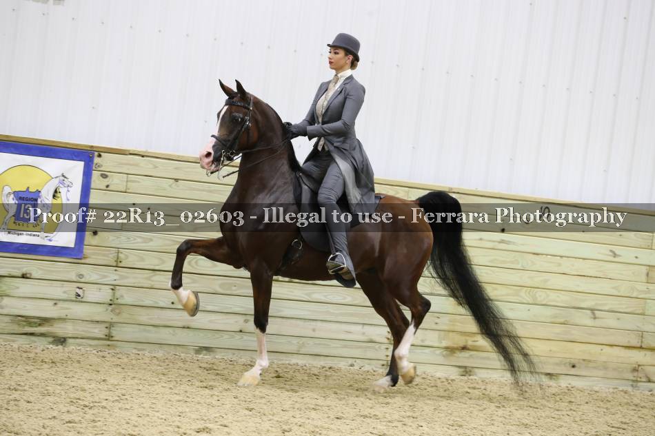 Proof 22R13_02603