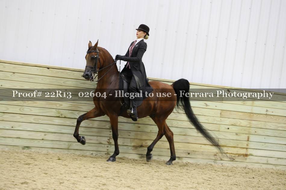 Proof 22R13_02604