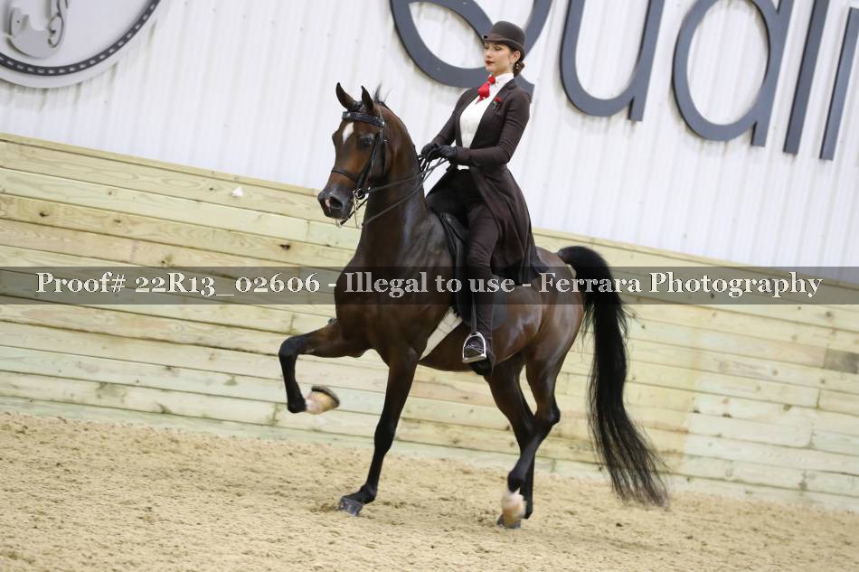 Proof 22R13_02606