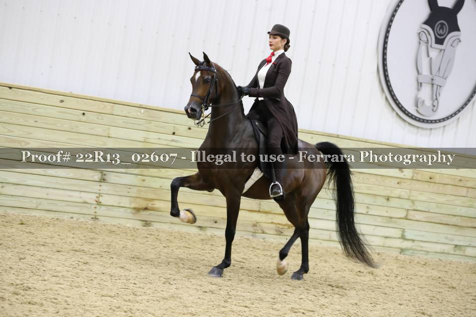 Proof 22R13_02607