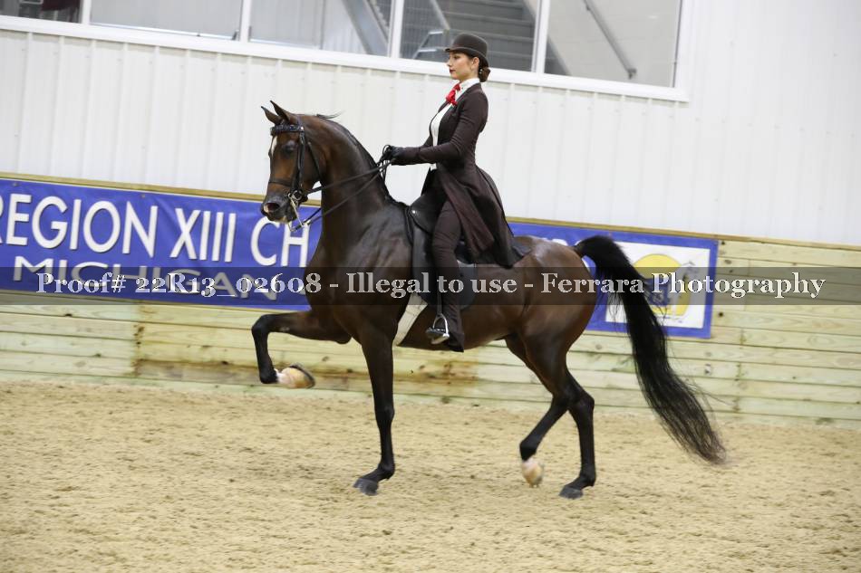 Proof 22R13_02608