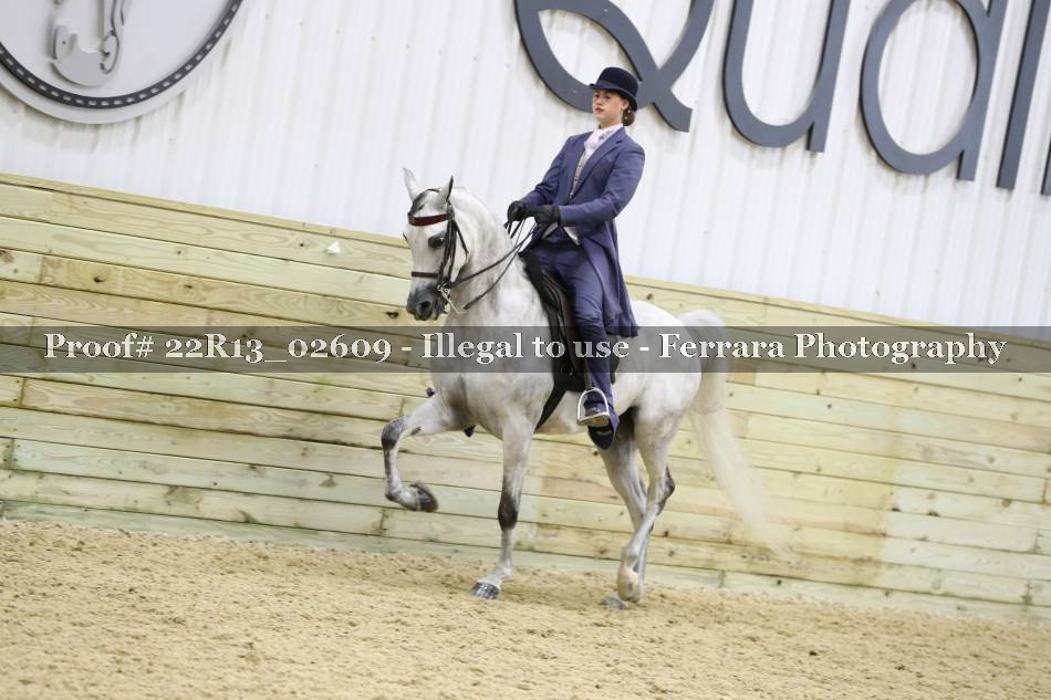 Proof 22R13_02609
