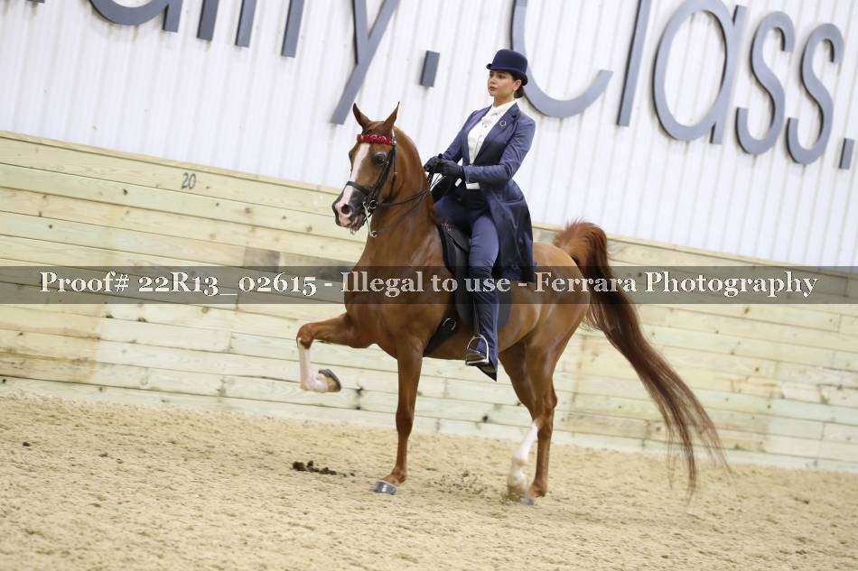 Proof 22R13_02615