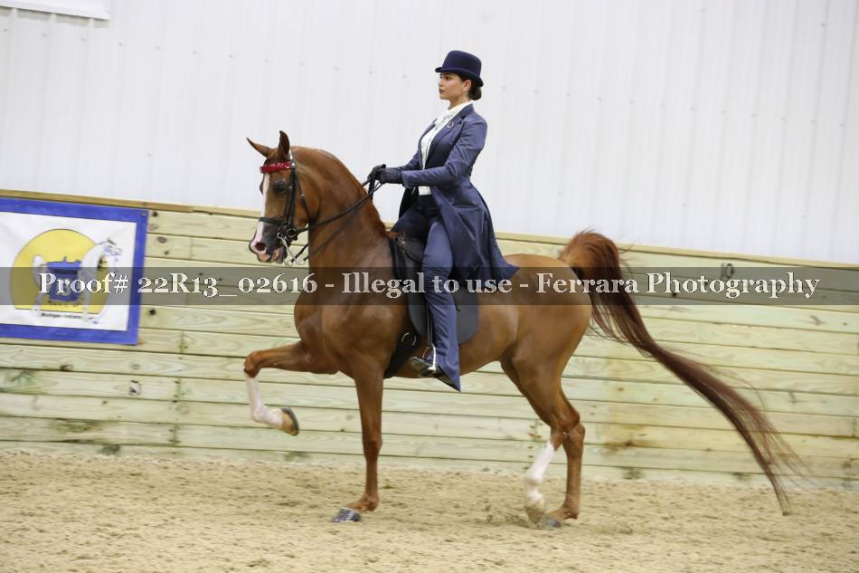 Proof 22R13_02616