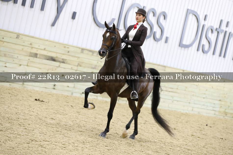 Proof 22R13_02617