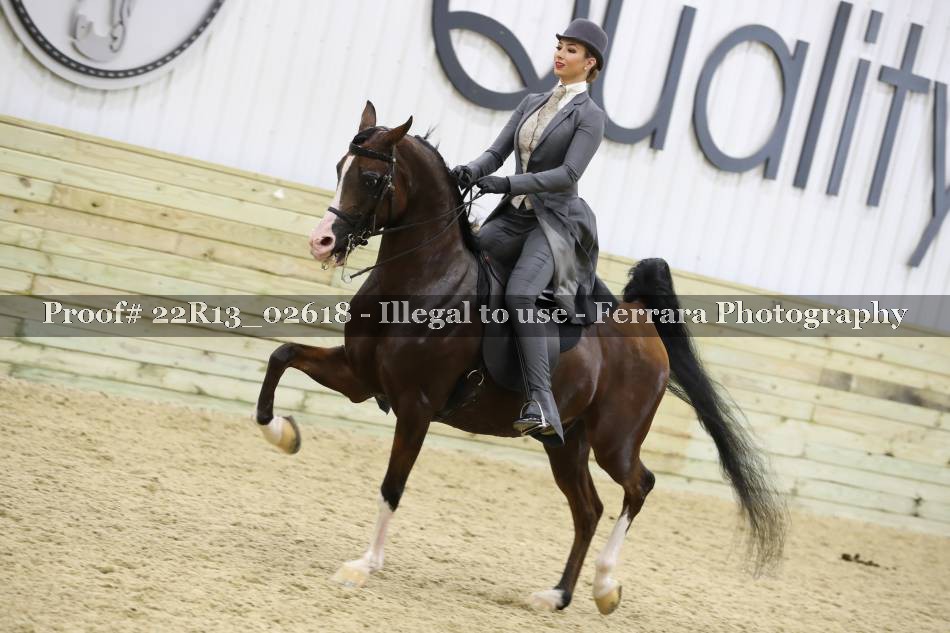 Proof 22R13_02618