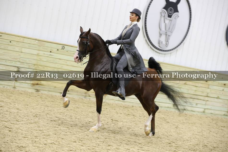 Proof 22R13_02619