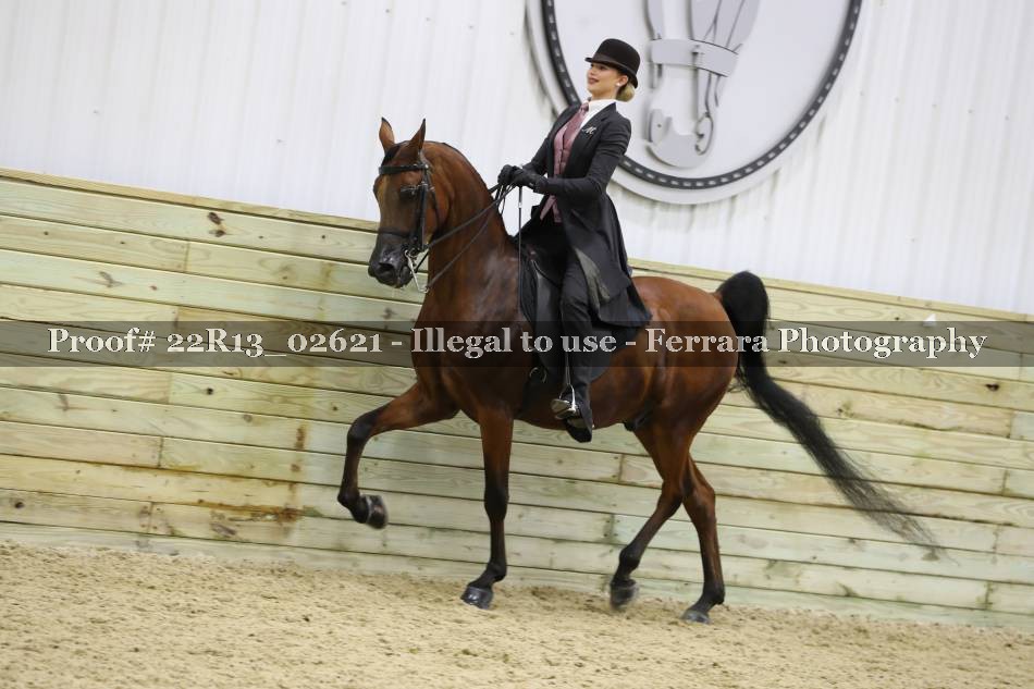 Proof 22R13_02621