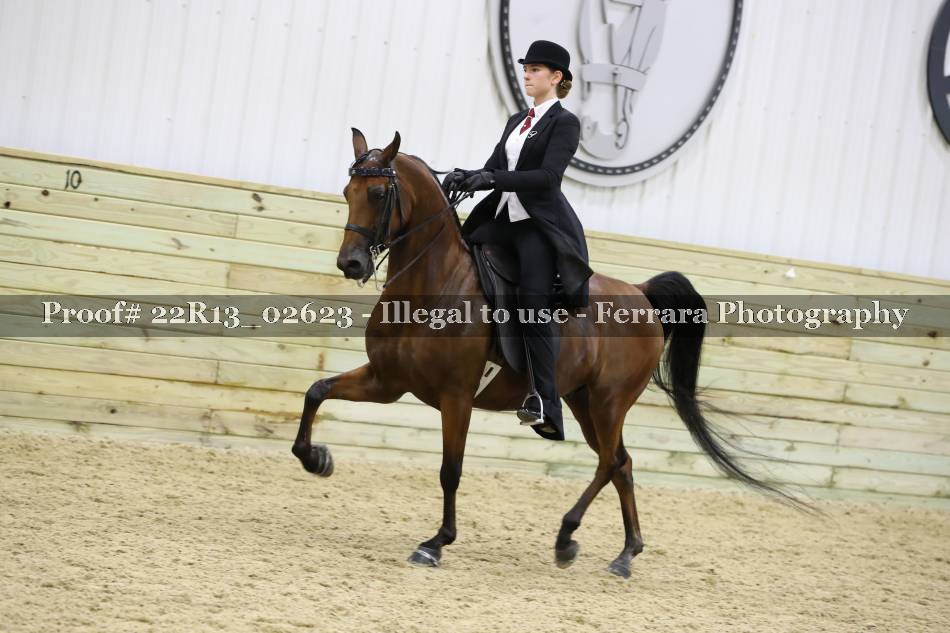 Proof 22R13_02623