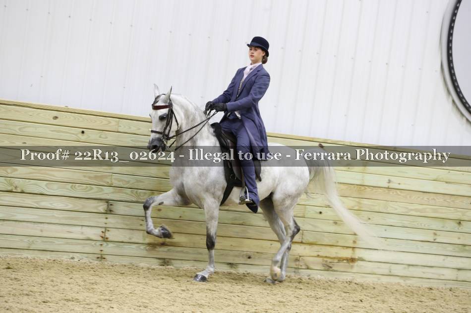 Proof 22R13_02624