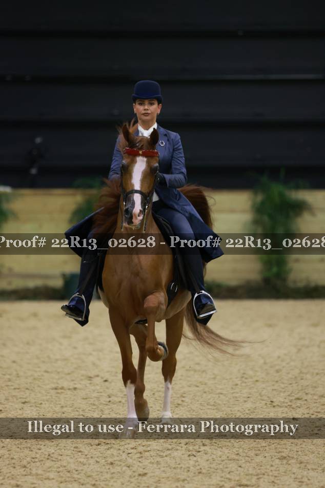 Proof 22R13_02628