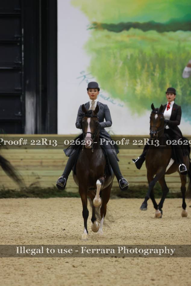 Proof 22R13_02629