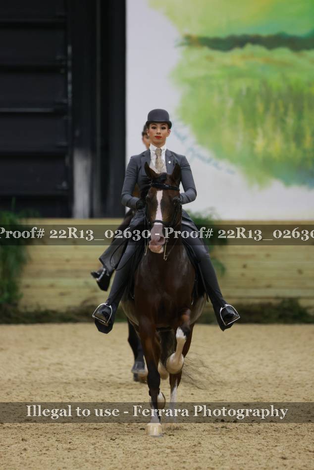 Proof 22R13_02630