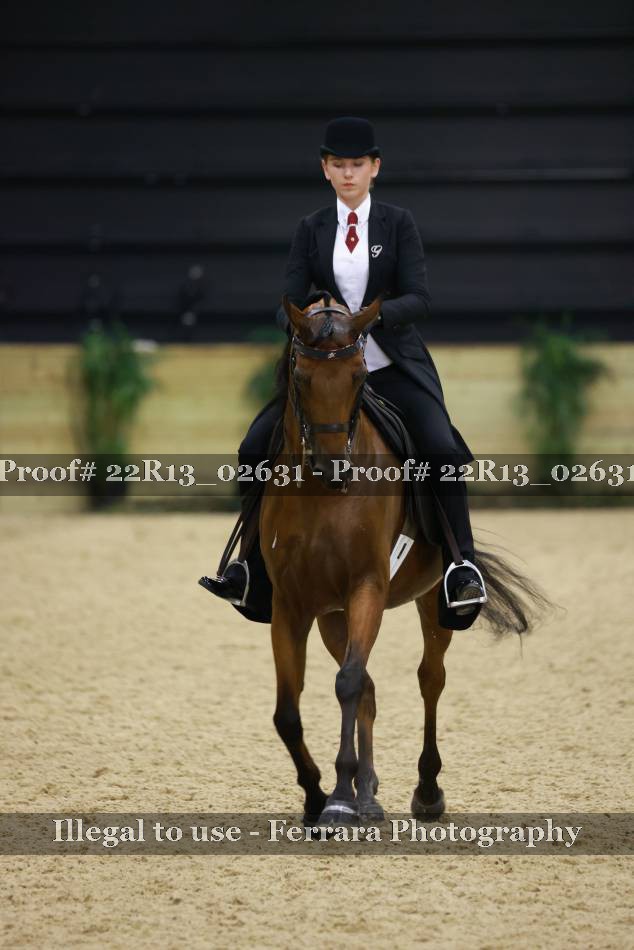 Proof 22R13_02631