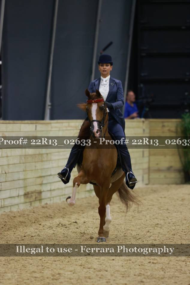 Proof 22R13_02633