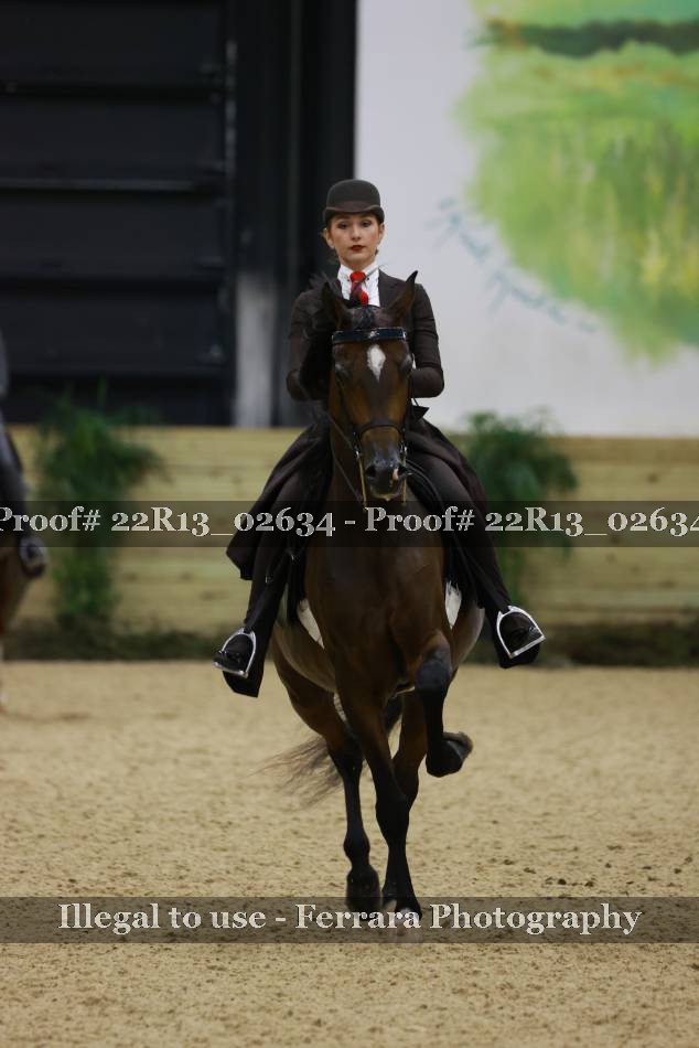 Proof 22R13_02634