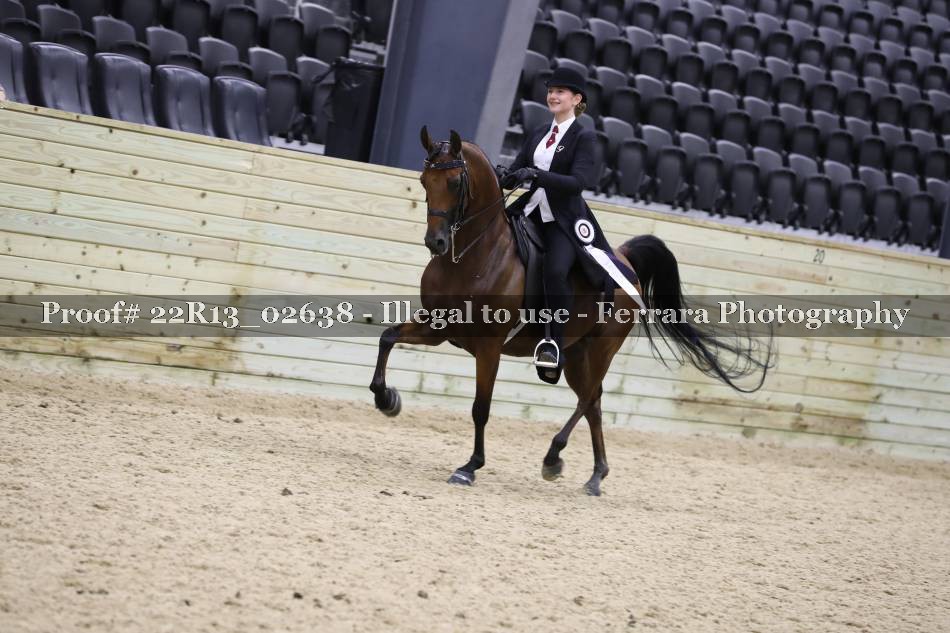 Proof 22R13_02638