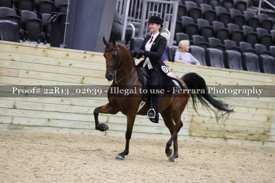 Proof 22R13_02639