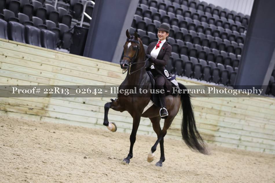 Proof 22R13_02642