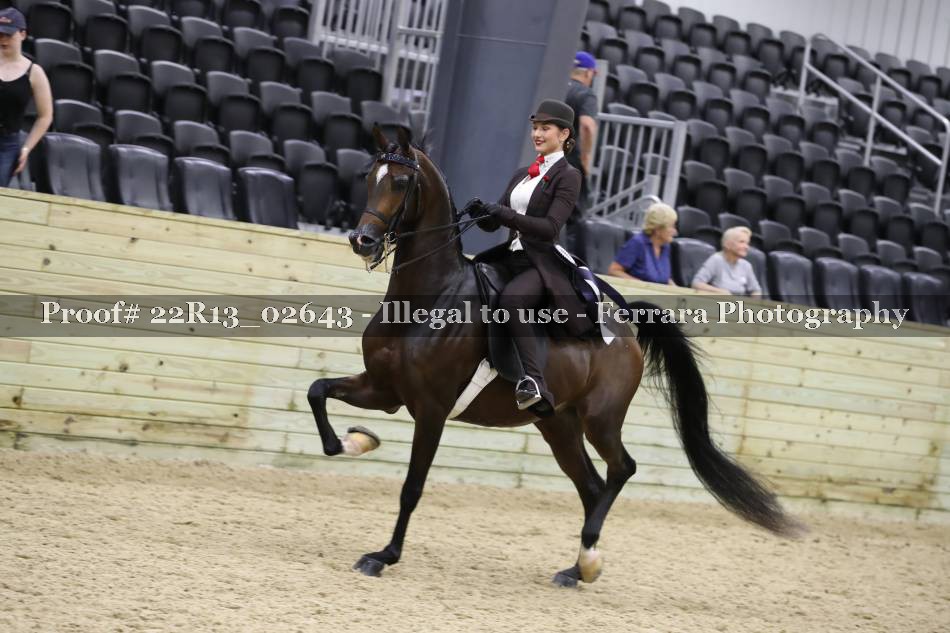 Proof 22R13_02643