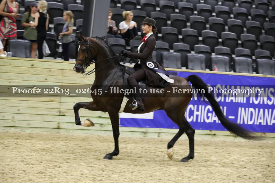 Proof 22R13_02645