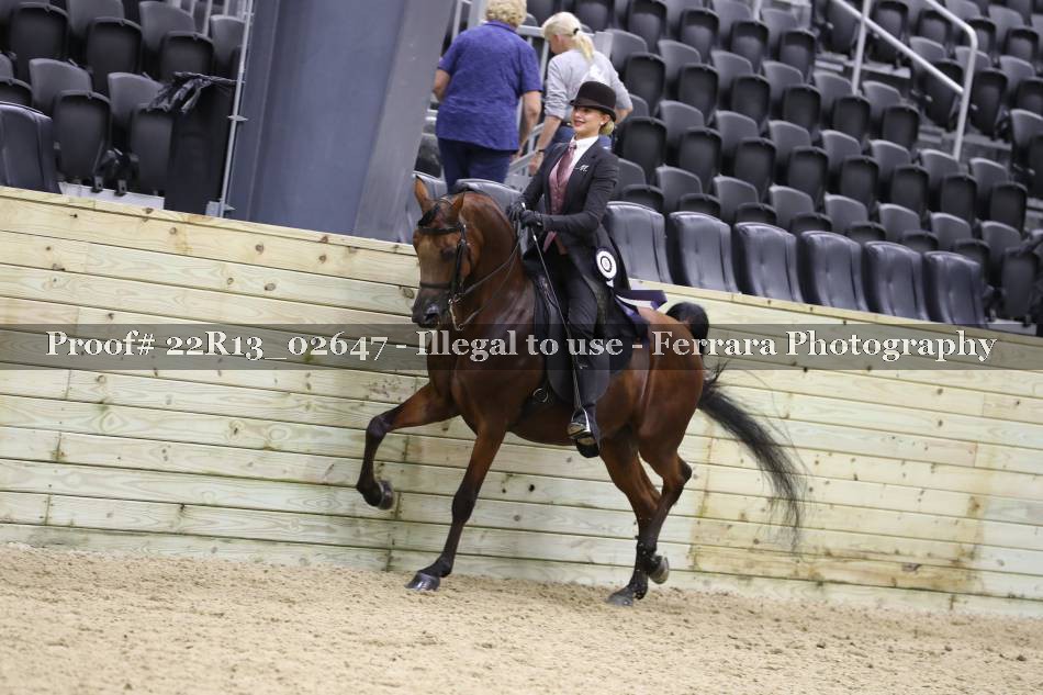 Proof 22R13_02647