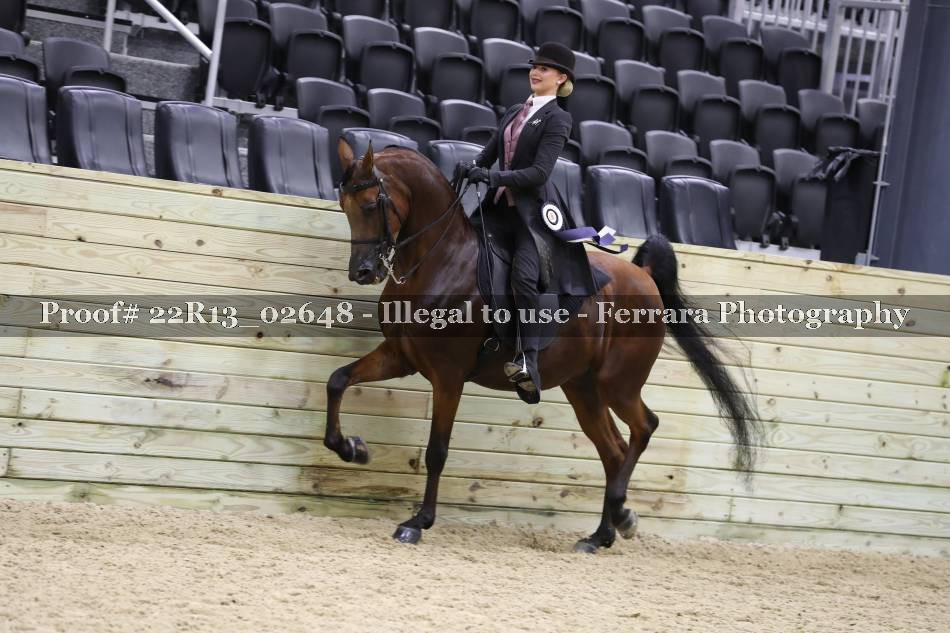 Proof 22R13_02648