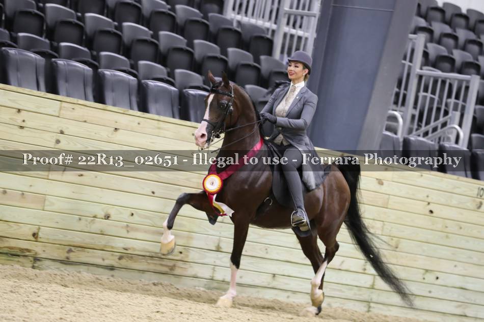 Proof 22R13_02651