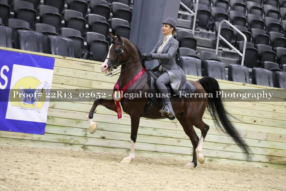 Proof 22R13_02652