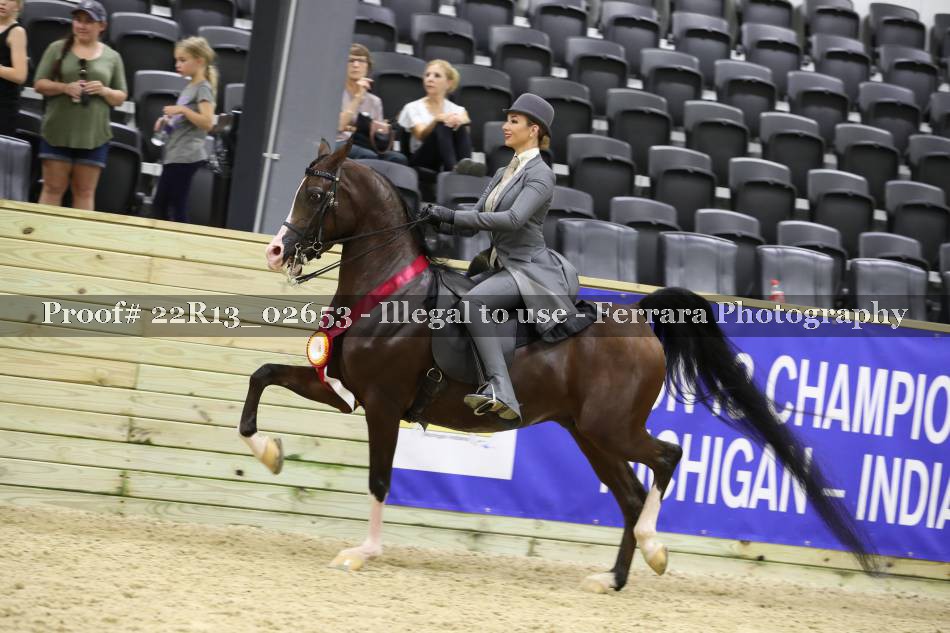 Proof 22R13_02653