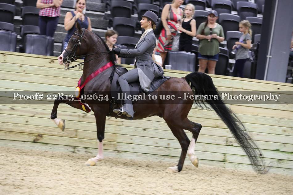 Proof 22R13_02654