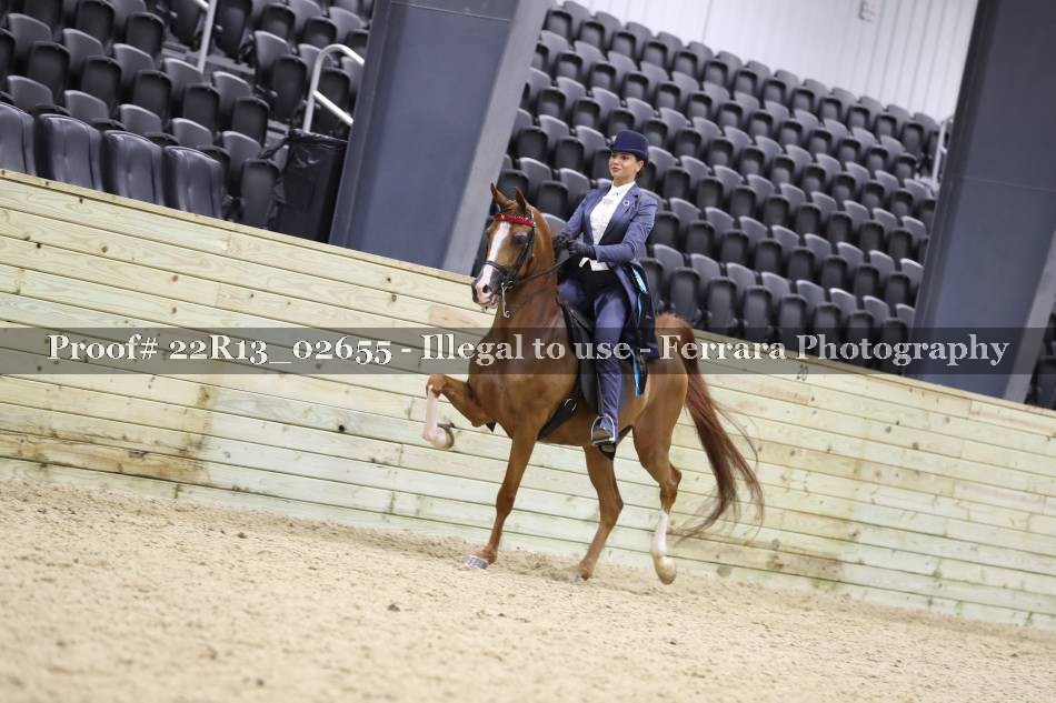 Proof 22R13_02655