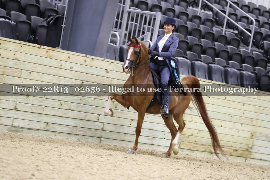 Proof 22R13_02656