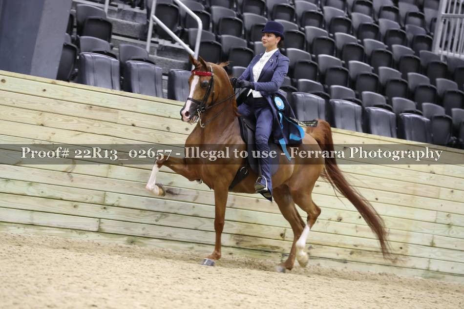 Proof 22R13_02657